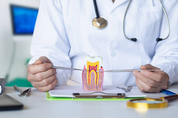 Best Pediatric Emergency Dentist in Medicine Lodge, KS
